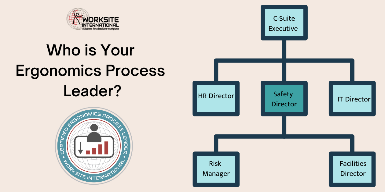 Ergo Process Leader org chart (1)