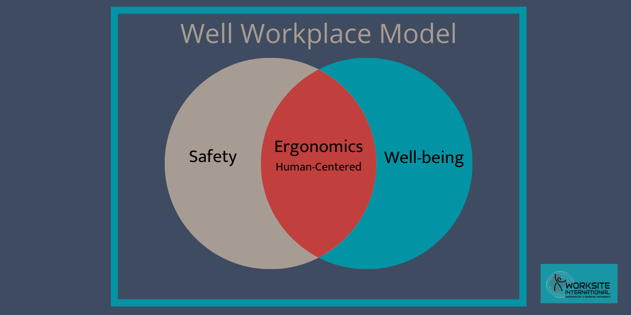 Well workplace model (2)-1