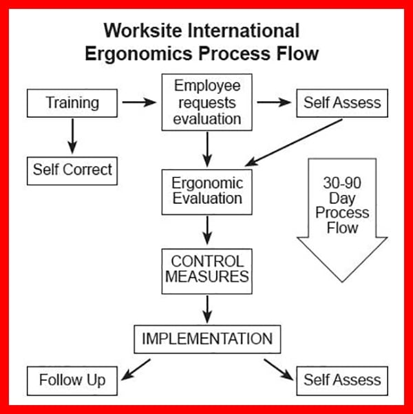 Worksite International Ergonomics Process Flow